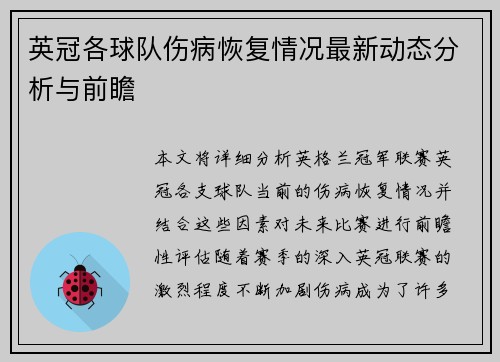 英冠各球队伤病恢复情况最新动态分析与前瞻