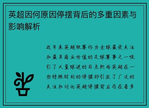 英超因何原因停摆背后的多重因素与影响解析
