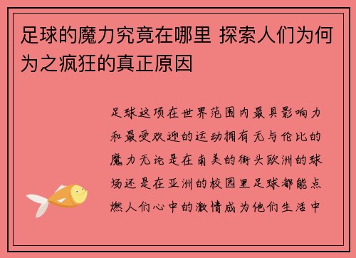 足球的魔力究竟在哪里 探索人们为何为之疯狂的真正原因